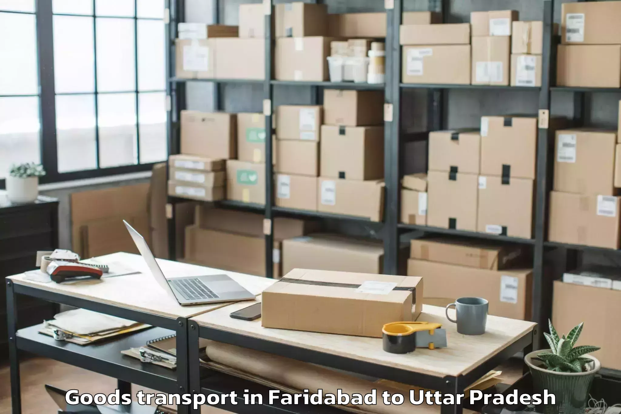 Top Faridabad to Bighapur Khurd Goods Transport Available